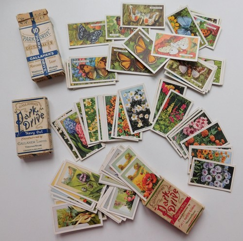 Gallaher park drive packets - park,