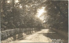 Rock Ferry. Kings Lane in Art Series by J.Geo. Davies, Port Sunlight.