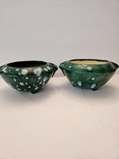 2-Vtg African violet self