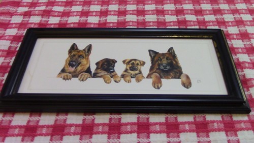 Framed print german shepherds - framed,