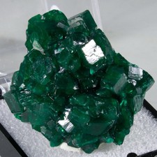 Stellar Gemmy DIOPTASE