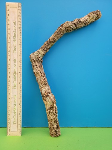 Cork bark branch 33cm - branch,