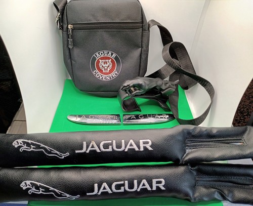 Jaguar themed bits job - jaguar, lot