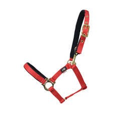 Hy Fieldsafe Small Pony & Foal