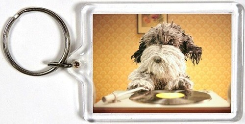 Dog record player - dog,
