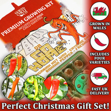 Grow Your Own Chilli Kit - Hot