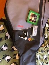 Washburn Electro Acoustic