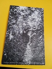 Typical Devonshire Lane, Combe