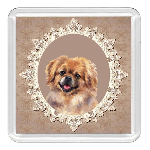 Tibetan spaniel dog acrylic - spaniel,