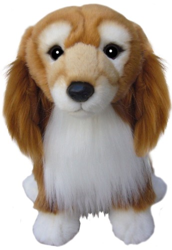 Dorgi teddy dorgis soft - dorgi,