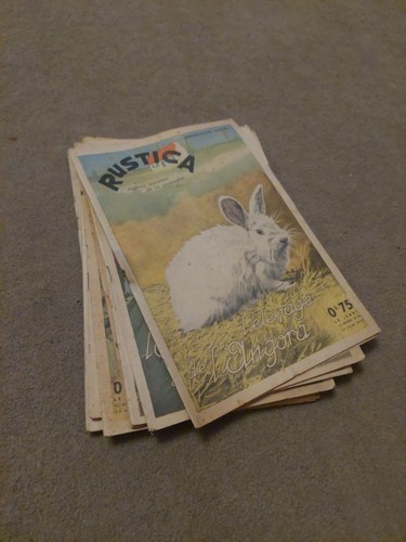 Vintage french rustica - vintage,