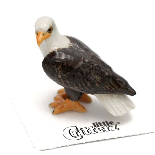 Little critterz eagle - critterz, bald