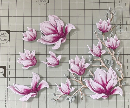 Carnation crafts natures - carnation,