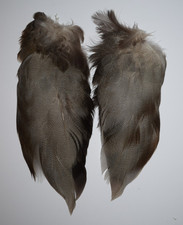 Complete set of Bronze Mallard