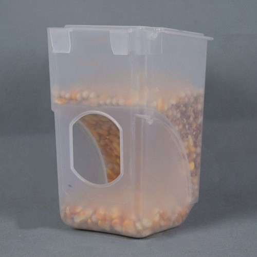 Pigeon feeding box - box, bird