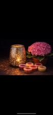 Scentsy Mercury Glass Warmer