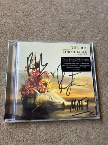 The joy formidable - the, wolf’s