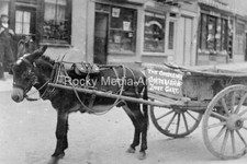 Mdf-76 The Chudleigh