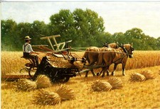 'HARVESTING WITH A BINDER' - HORSE DRAWN EQUIPMENT - BLANK INSIDE - FARMING CARD