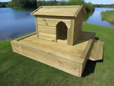 Floating duck waterfowl - duck, &