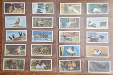 1954 Brooke Bond Tea Cards