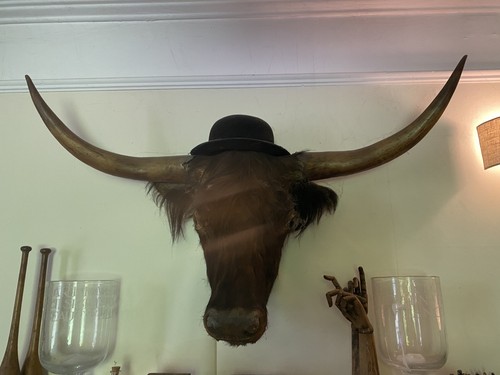 Antique victorian highland cow - antique,