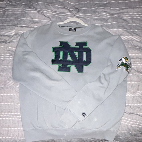 Notre dame fighting - dame,