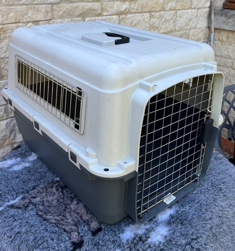 Dog pet transporter nomad - dog,