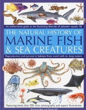 Marine Fish: An Authoritative Guide to the Fascinating Diversity of Saltwater ,