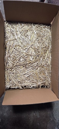Top quality wheat - top,