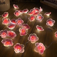 3M 30LEDS Cherry Blossom Fairy