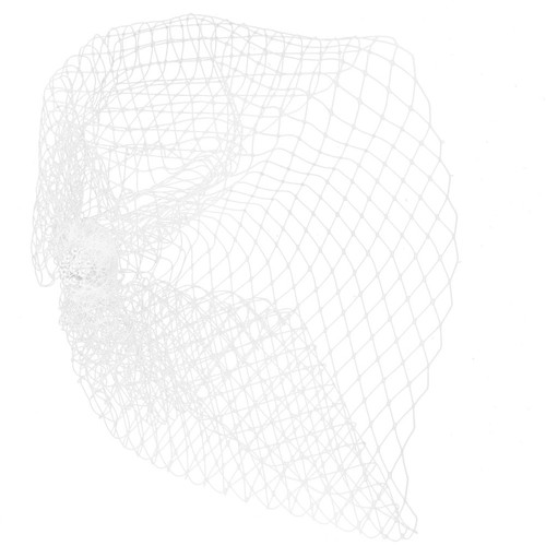 Birdcage veil wedding bride - birdcage,