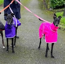 Waterproof Dog Rain Coat for