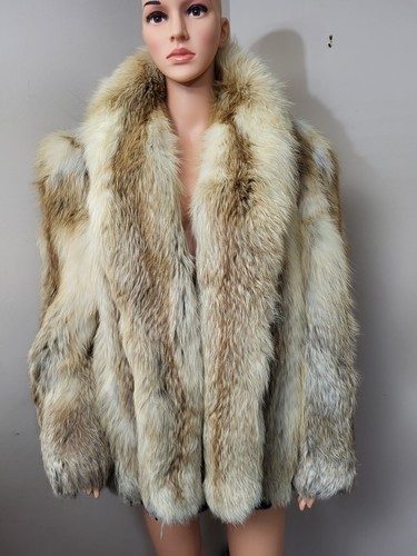 Genuine red fox - ,
