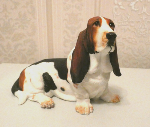 Bassett hound border - by,