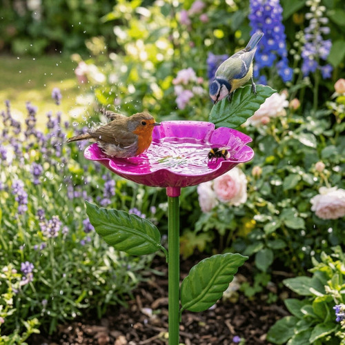 Colourful bee watering - colourful,