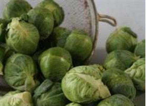 Brussels sprout mini - ,