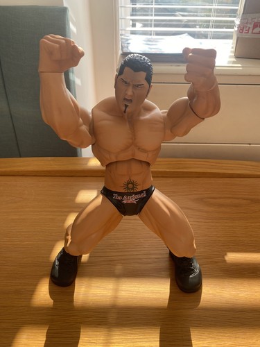 Wwe posable ring giants - ring,