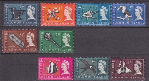 Solomon islands short - short, set