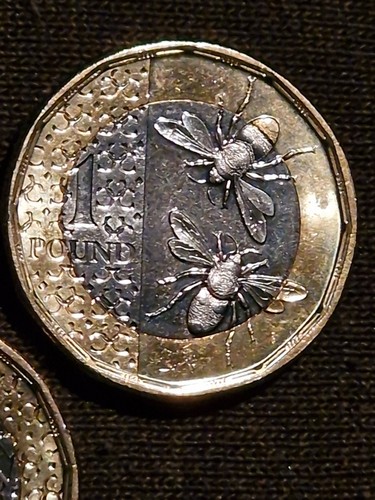 2025 one pound coin - uk,