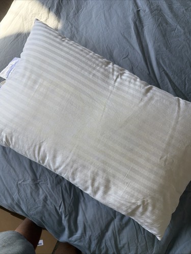 Hungarian goose pillow - goose,