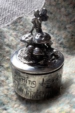 Silver Scenes Fairy On