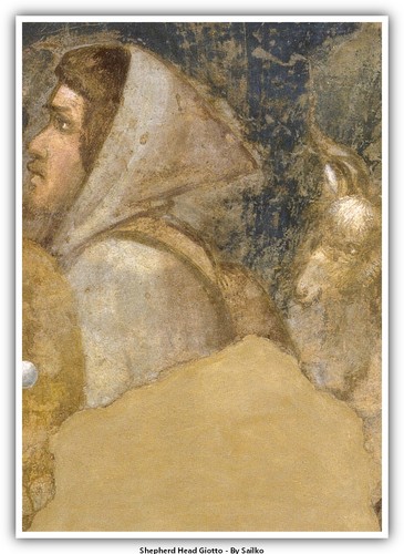Shepherd head giotto - shepherd,