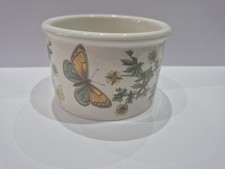 Portmeirion the Botanic Garden Potentilla Erecta Small Plant Pot