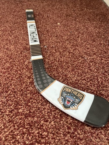 Nottingham panthers mini - nottingham,