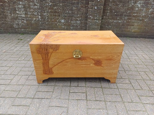 Vintage camphor wood chest - camphor,