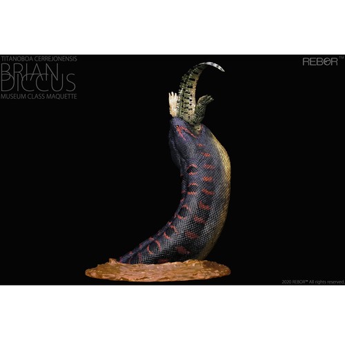Rebor titanoboa museum - rebor,
