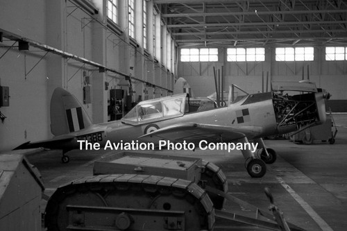 Raf dhc chipmunk 10 - raf, wd388