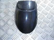 Carbon Fibre Triumph Tiger
