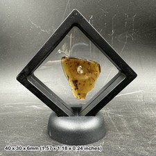 Genuine Cretaceous Amber with